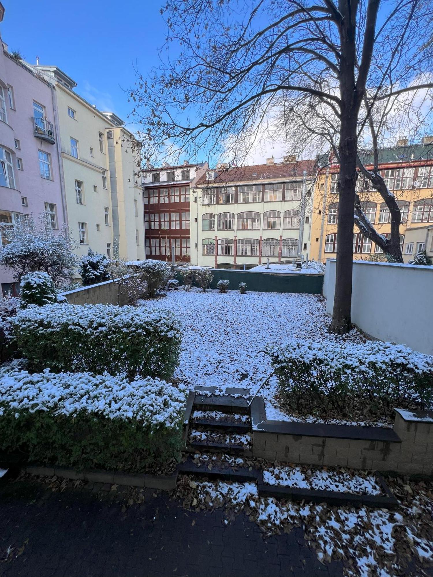 Cozy Garden Apartment In The Heart Of Praga Esterno foto